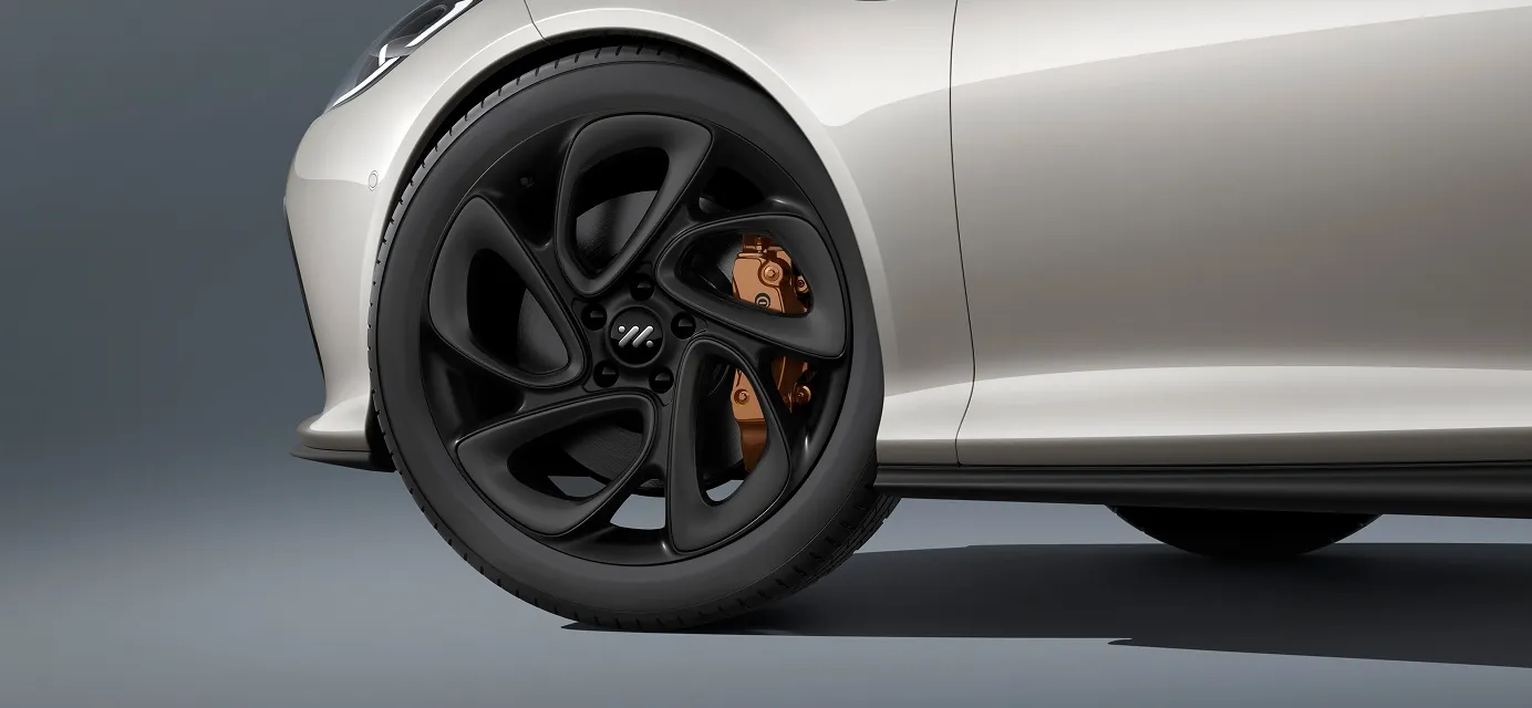 IM5 wheel and Continental brake caliper